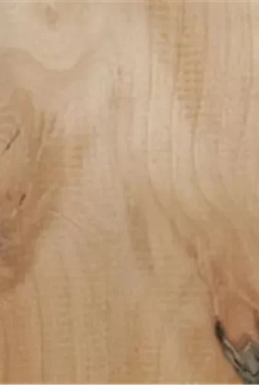 10005