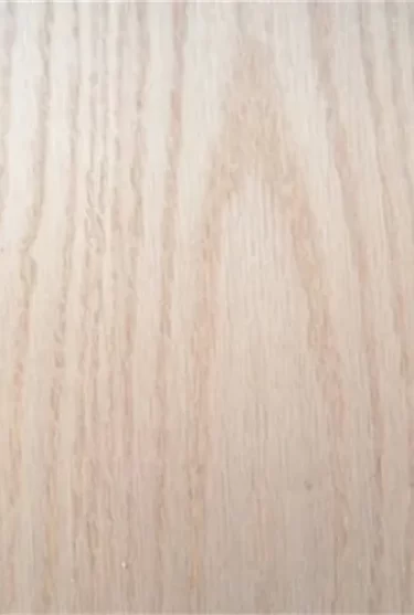 10013