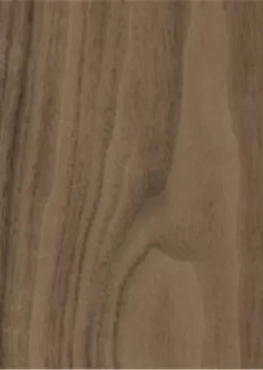 Black Walnut Black Walnut